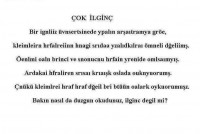 /album/resim-galerisi/farkl%c4%b1-yaz%c4%b1-jpg/